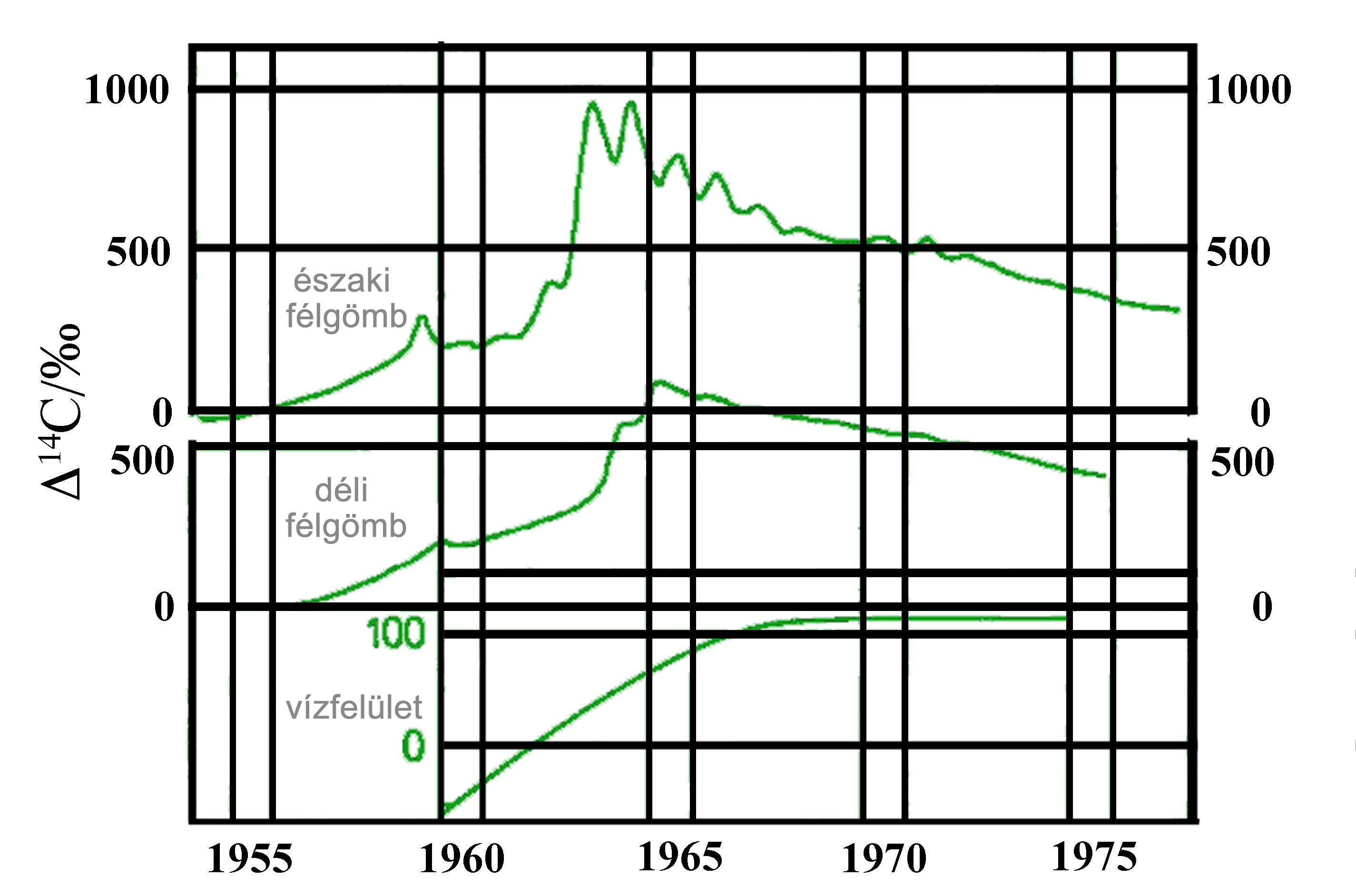 A 14C mennyiségének változása az 1955-1981 közötti időszakban. (Warneck, 1988).