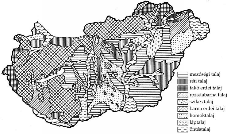 Hazánk fő talajtípusainak elterjedése (Forrás: Bernát Tivadar szerk.: Magyarország gazdaságföldrajza)