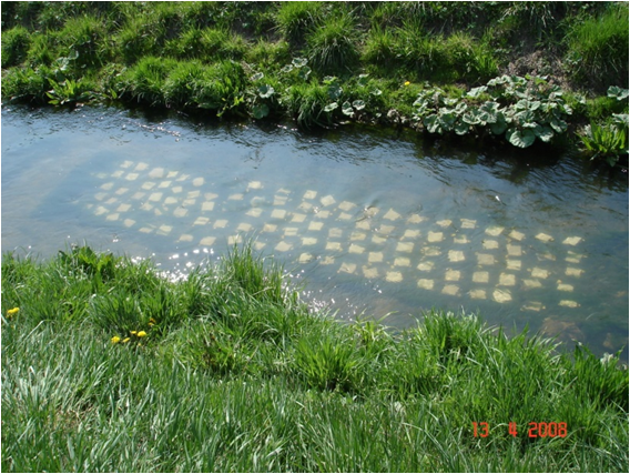 2.11. ábra. Vízfolyásba (Csigere-patak) kihelyezett kő szubsztrátumok és az élőbevonat eltávolítása kőről